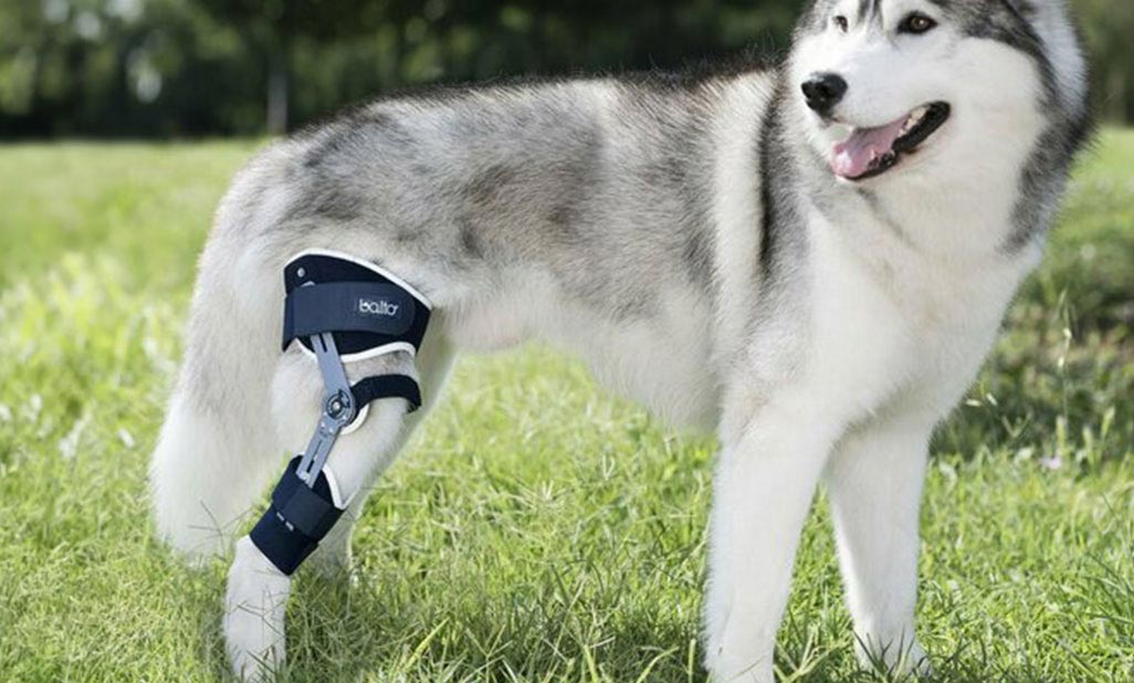 Understanding ACL (Anterior Cruciate Ligament) Tears