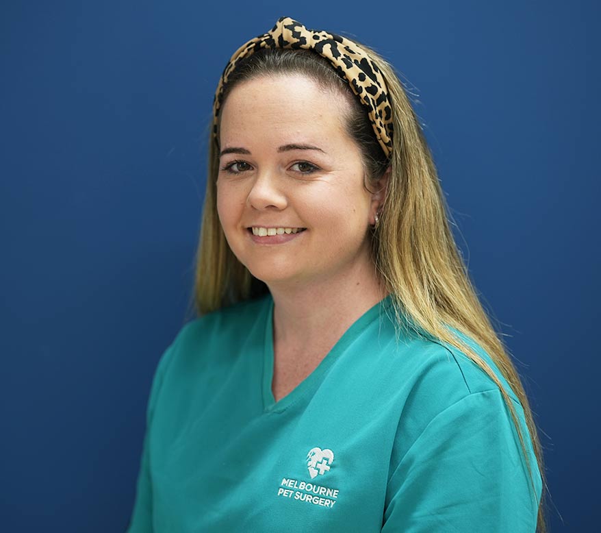 Meet Bree Senior Veterinary Nurse Melbourne Pet Surgery
