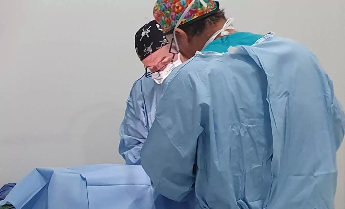 Tibial Plateau Levelling Osteotomy (TPLO)