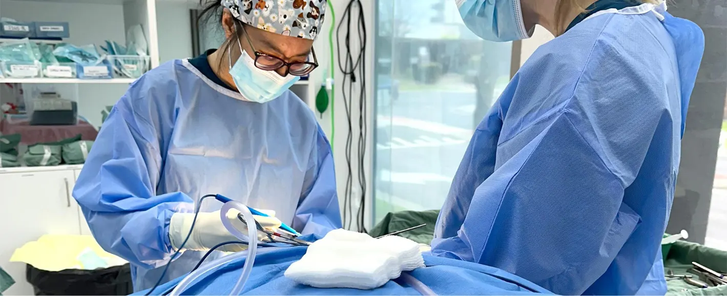 MPS veterinary team performing TPLO surgery on a dog
